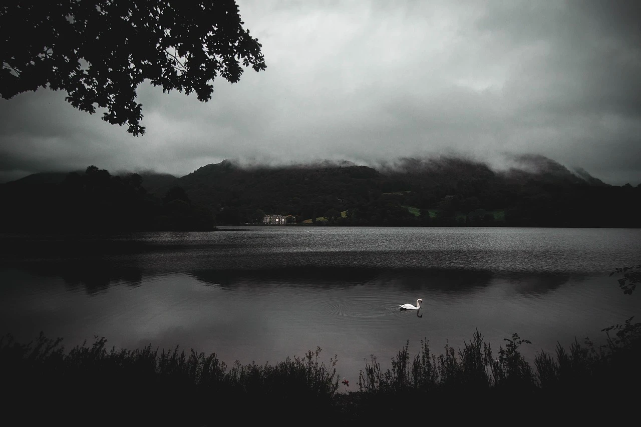 Wide gallery full width